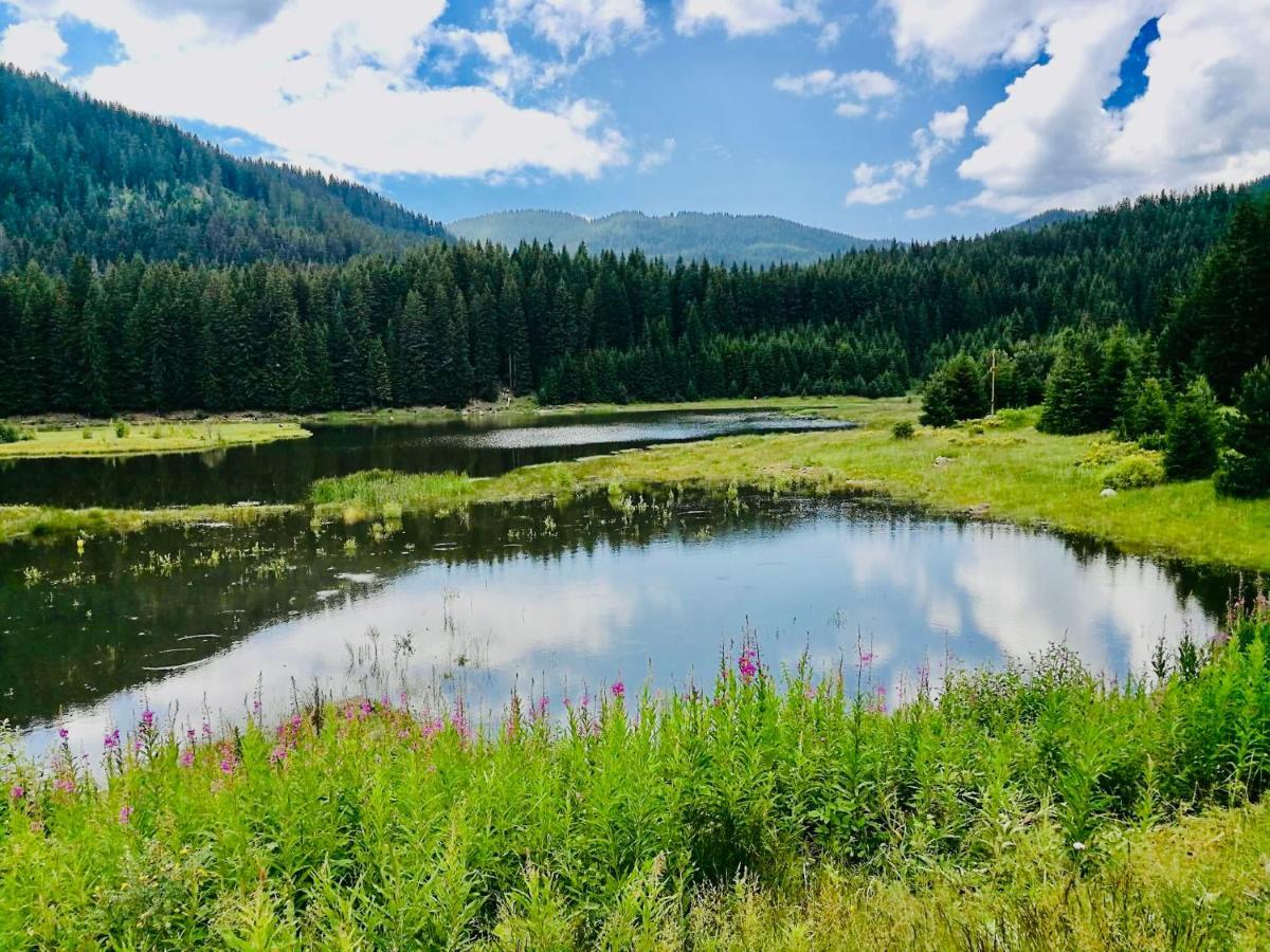 Deer Lake 521 At Oak Residence Hotel & Relax Smolyan Exteriör bild