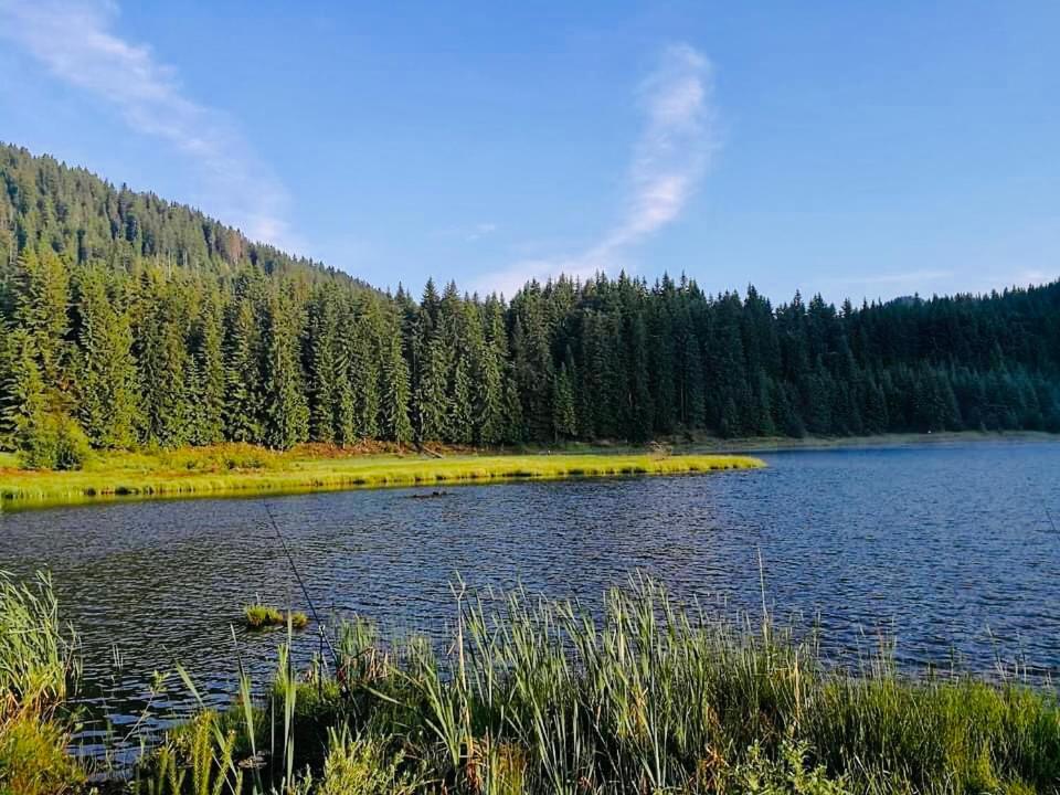 Deer Lake 521 At Oak Residence Hotel & Relax Smolyan Exteriör bild